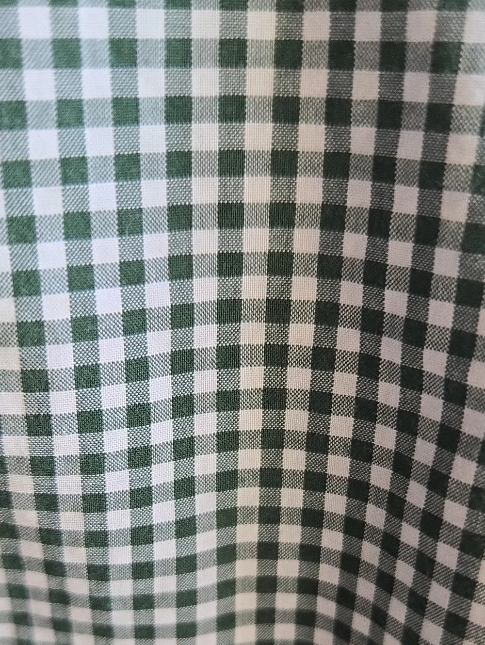 Ralph Lauren Pine Green Checkered Button Front Shirt Size Large